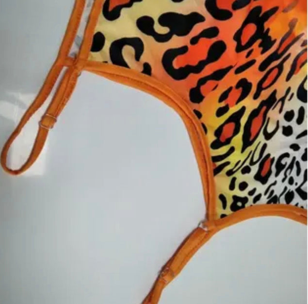 Orange Leopard Ombré Dress